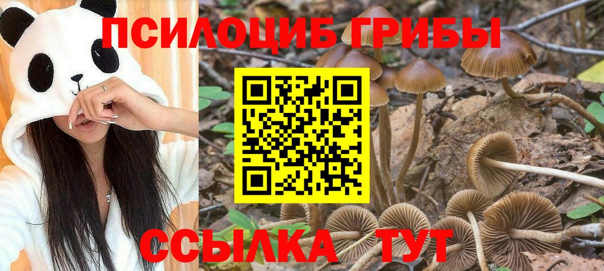 Галлюциногенные грибы прущие грибы Гусь-Хрустальный