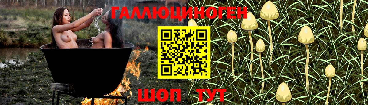Псилоцибиновые грибы мухоморы  Галлюциногенные грибы GOLDEN TEACHER  Гусь-Хрустальный  Вход с VPN 